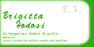 brigitta hodosi business card